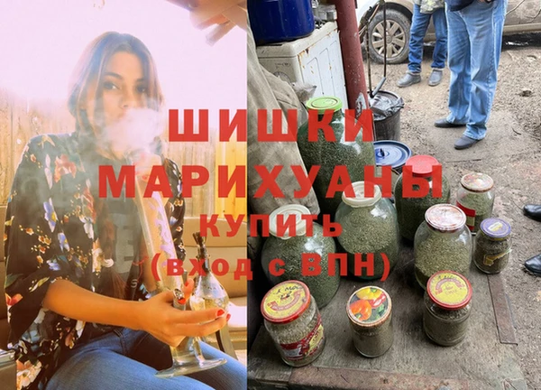 амф Верея