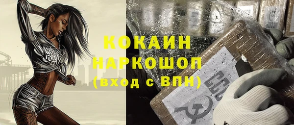 амф Верея